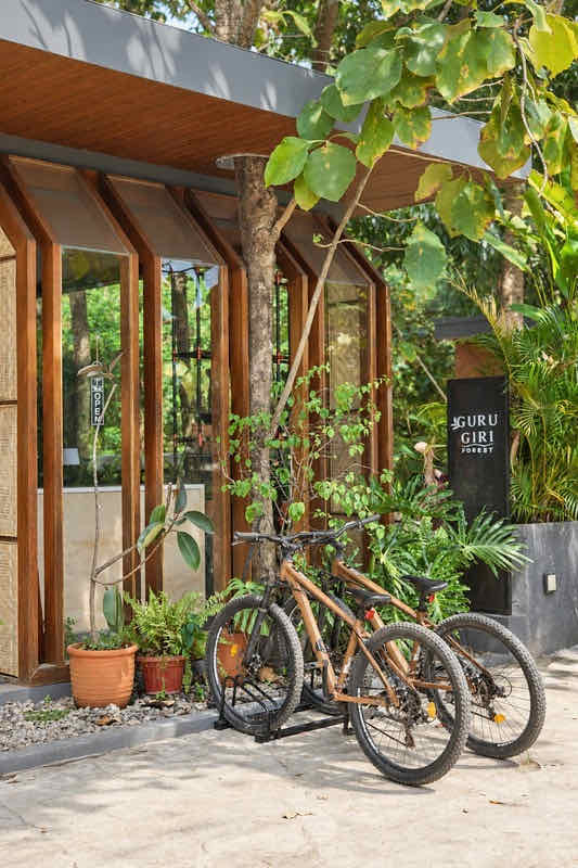 Two bicycles parked beside a timber wall and potted plants