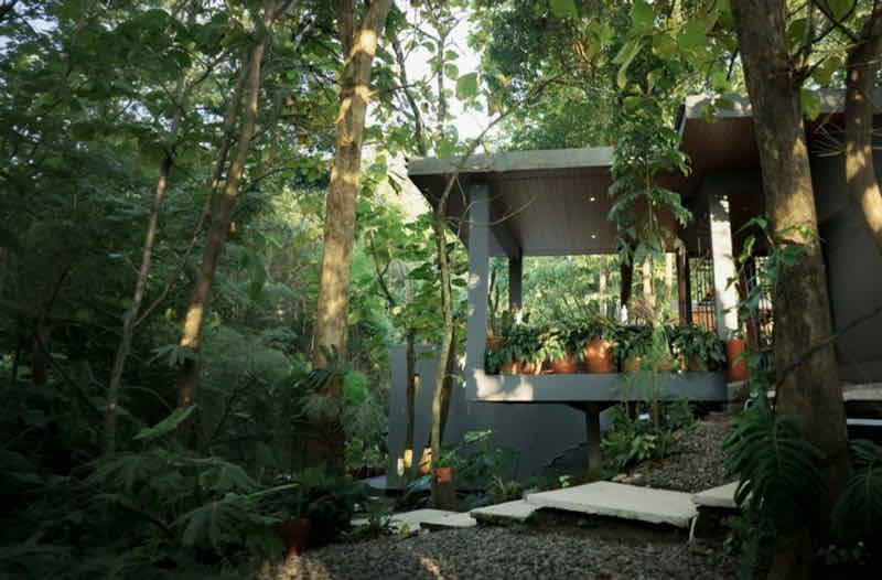 A forest villa among tall trees with its lights on in the evening
