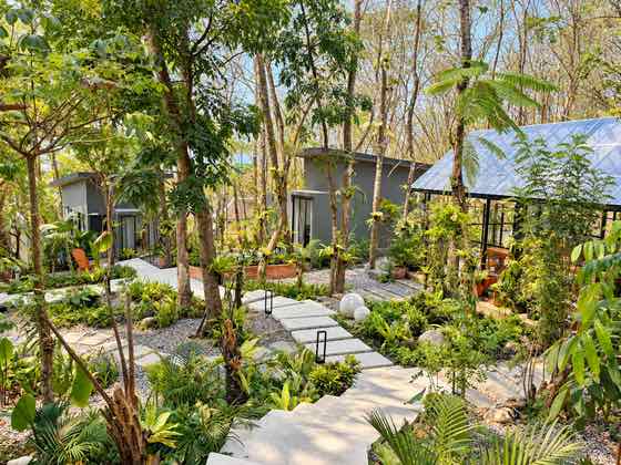 A stone path winding through the garden between villas and tall trees