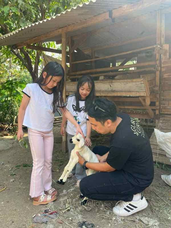 A father and two girls holding a young goat in a wooden pen