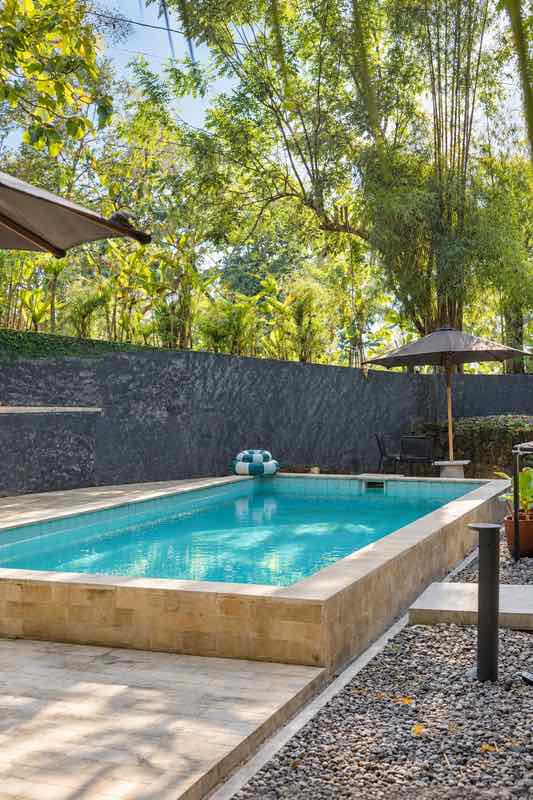 Shared swimming pool with a parasol, framed by tall trees